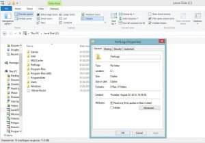 What is Perflogs folder and can i delete perflogs folder