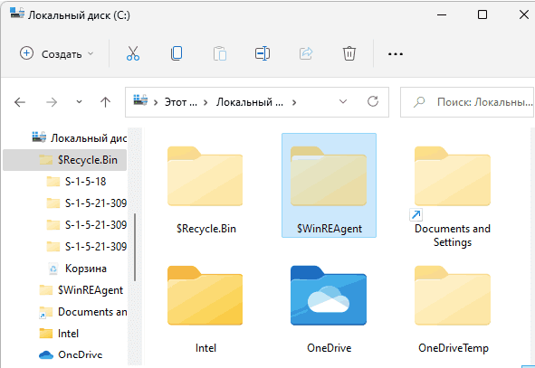 winreagent folder, what is $winreagent, $winreagent folder windows 10